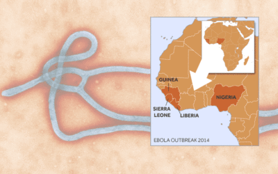 Update: Ebola Cases Continue to Increase in Sierra Leone