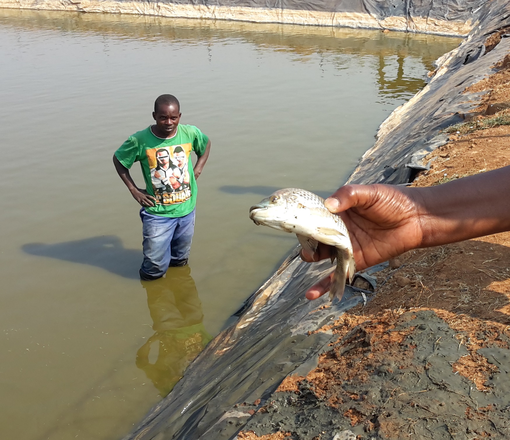 bwa-fish-harvest-for-sept-2016-e-news20160914_092003