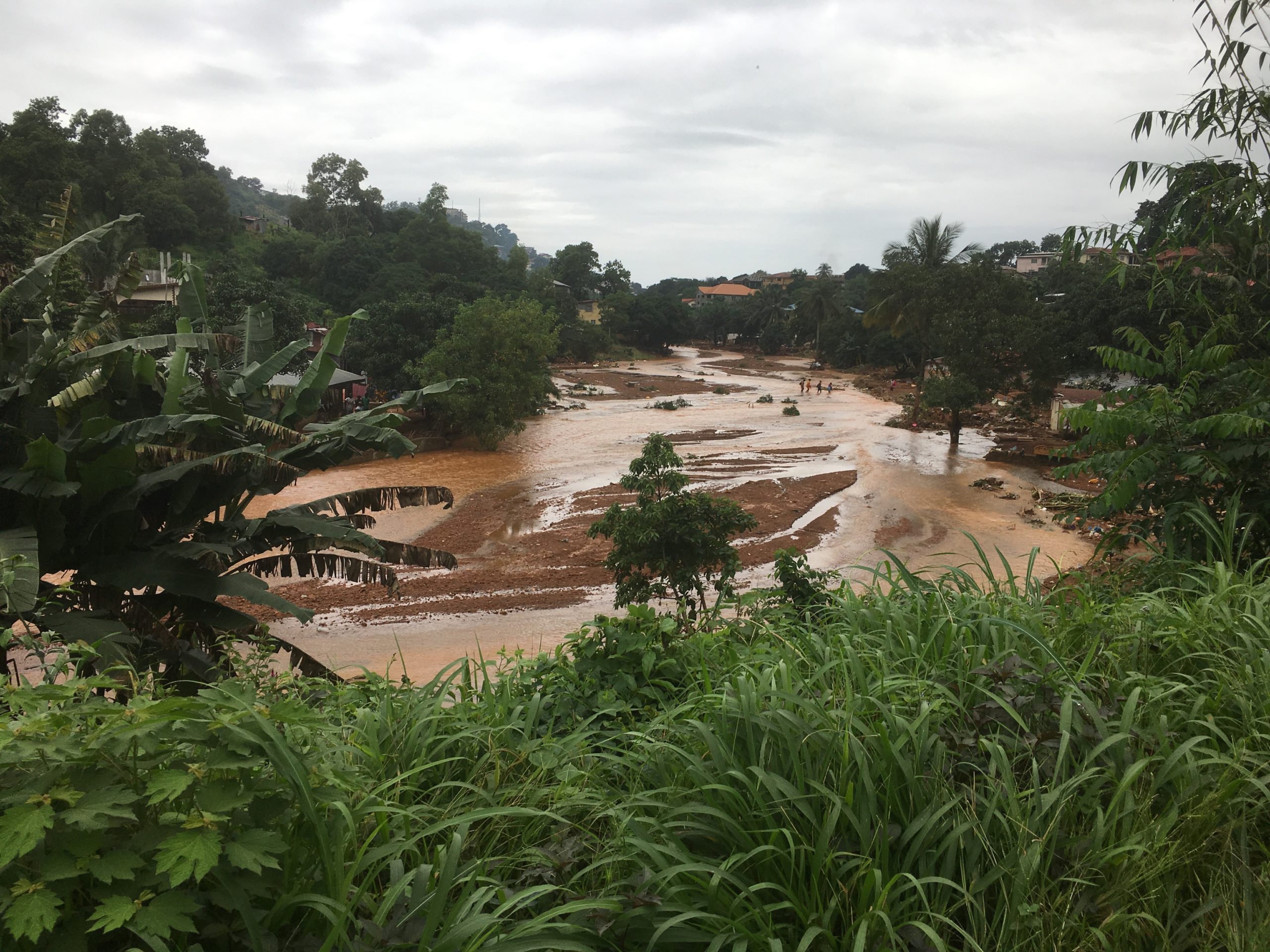 The Disaster and the Aftermath – Sierra Leone Update