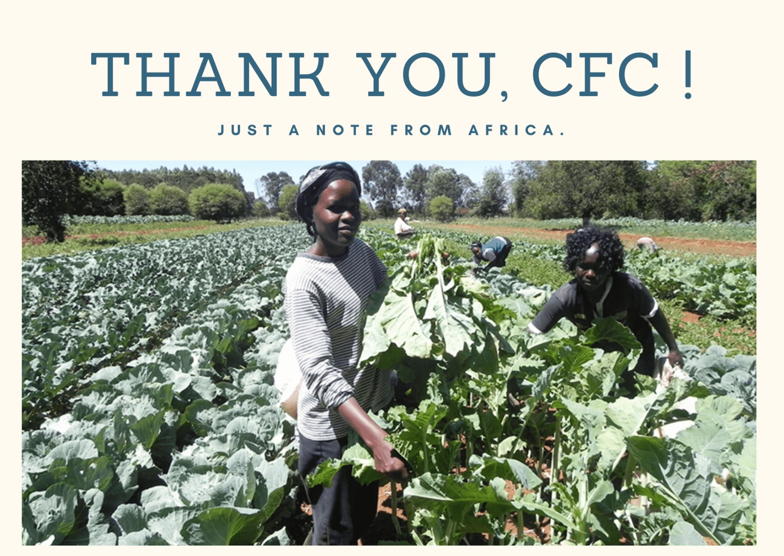 THANK YOU from Those you have Helped, and We Count on You!