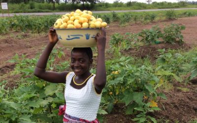 Agriculture Program in Sierra Leone Provides Staples to Prevent Starvation