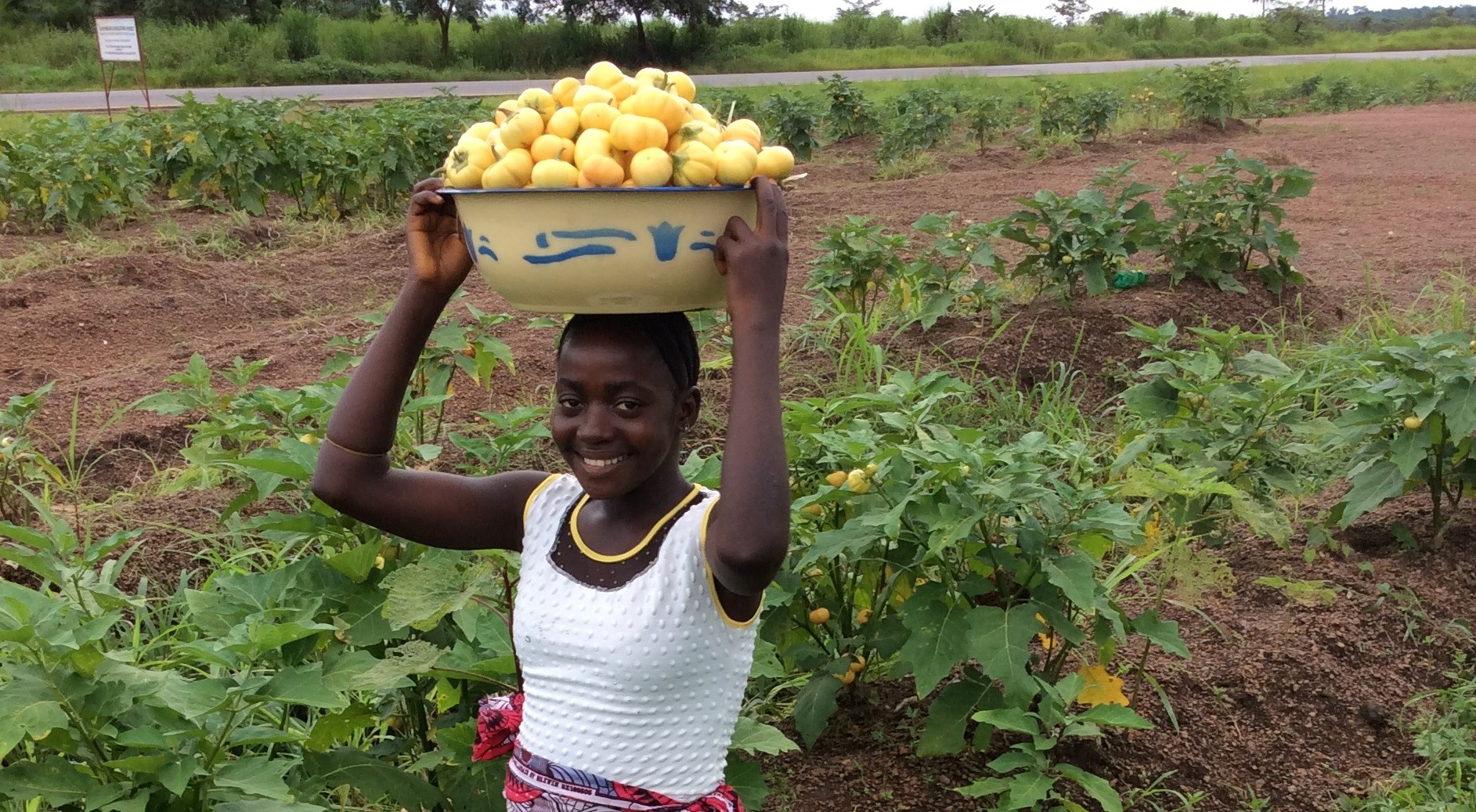 Agriculture Program in Sierra Leone Provides Staples to Prevent Starvation