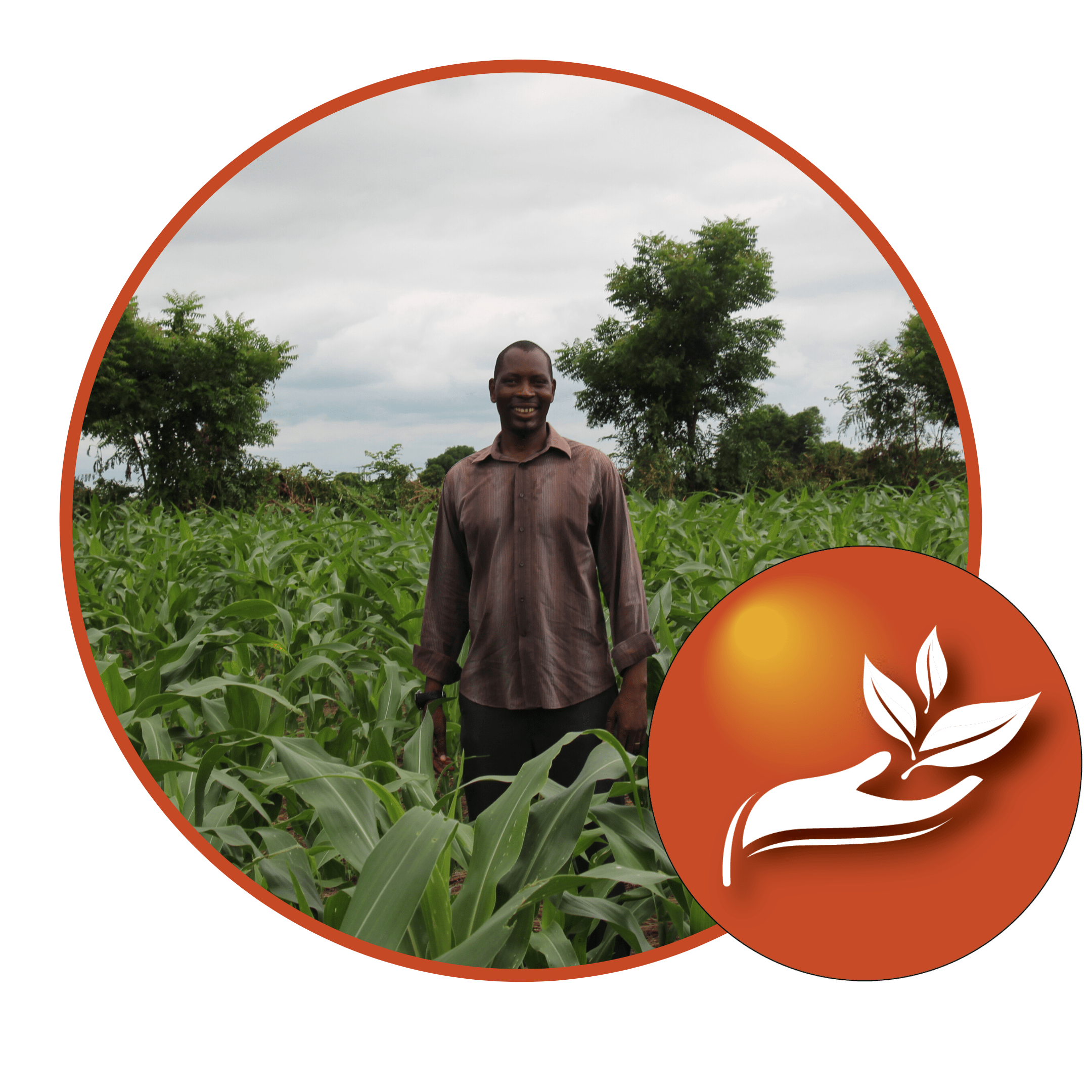Farmer standing in a lush green crop field in Africa.