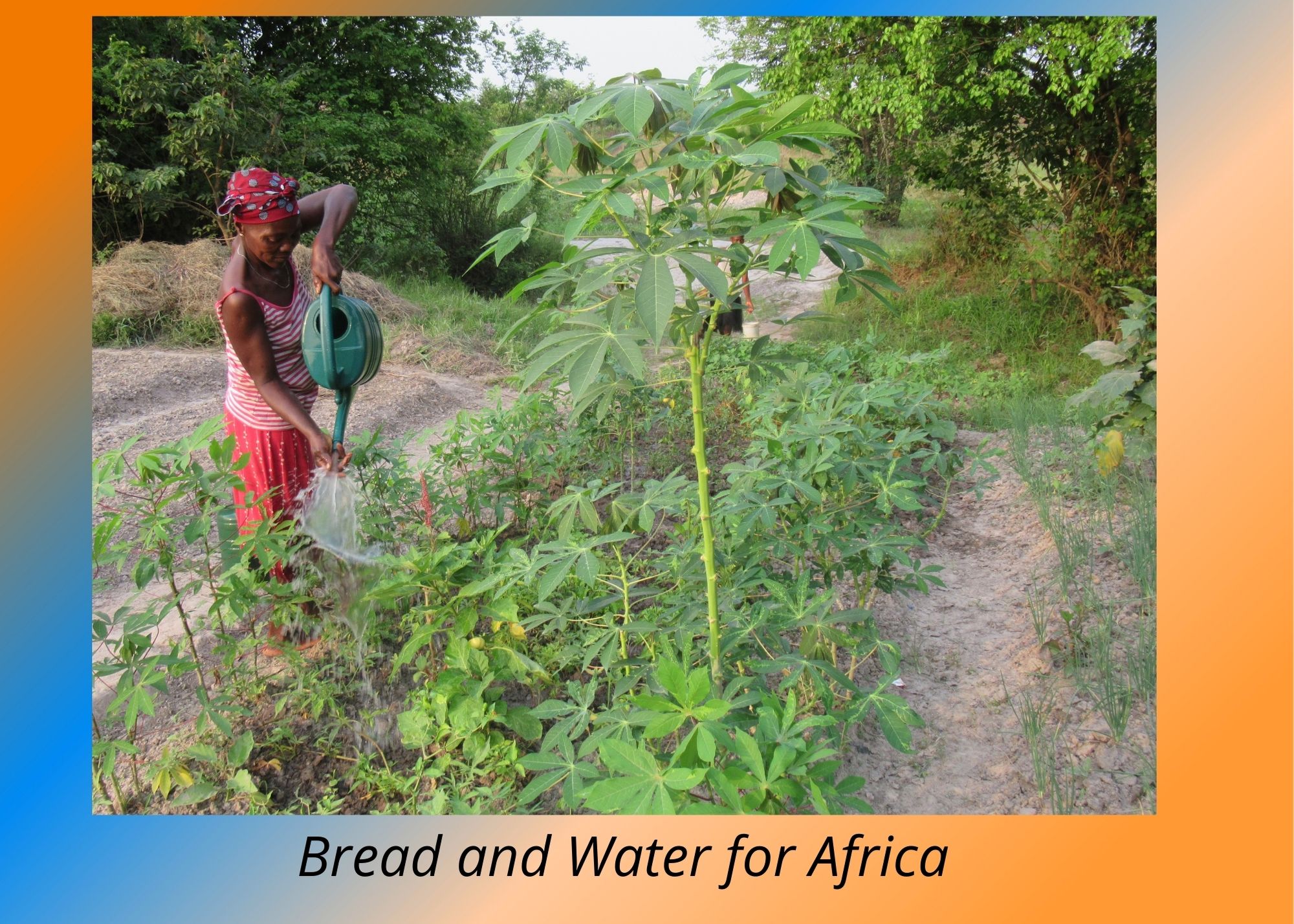 Red Old Couple Photo Valentines Day Card