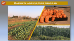 BWA -- Kabwata Agriculture graphic