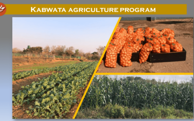 The Kabwata Orphanage and Transit Center: Growing Food for Healthy Growing Children