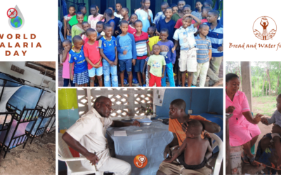 Bread and Water for Africa®: Preventing Malaria on World Malaria Day, and Every Day!