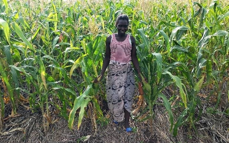 Smiling woman in Africa standing in a lush green maize field.