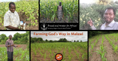 Collage of African farmers and maize fields with the title “Farming God’s Way in Malawi”