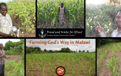 ‘Farming God’s Way’ Increases Production, Conserves Precious Topsoil and Transforms Lives in Malawi