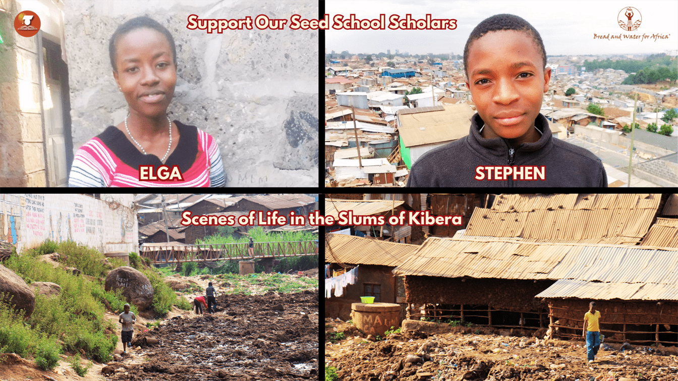 BWA — Seed School Scholars blog graphic Aug. 2023