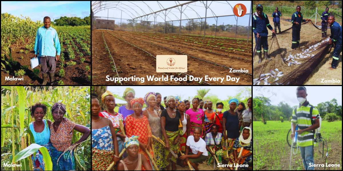 BWA — World Food Day graphic Oct. 2023