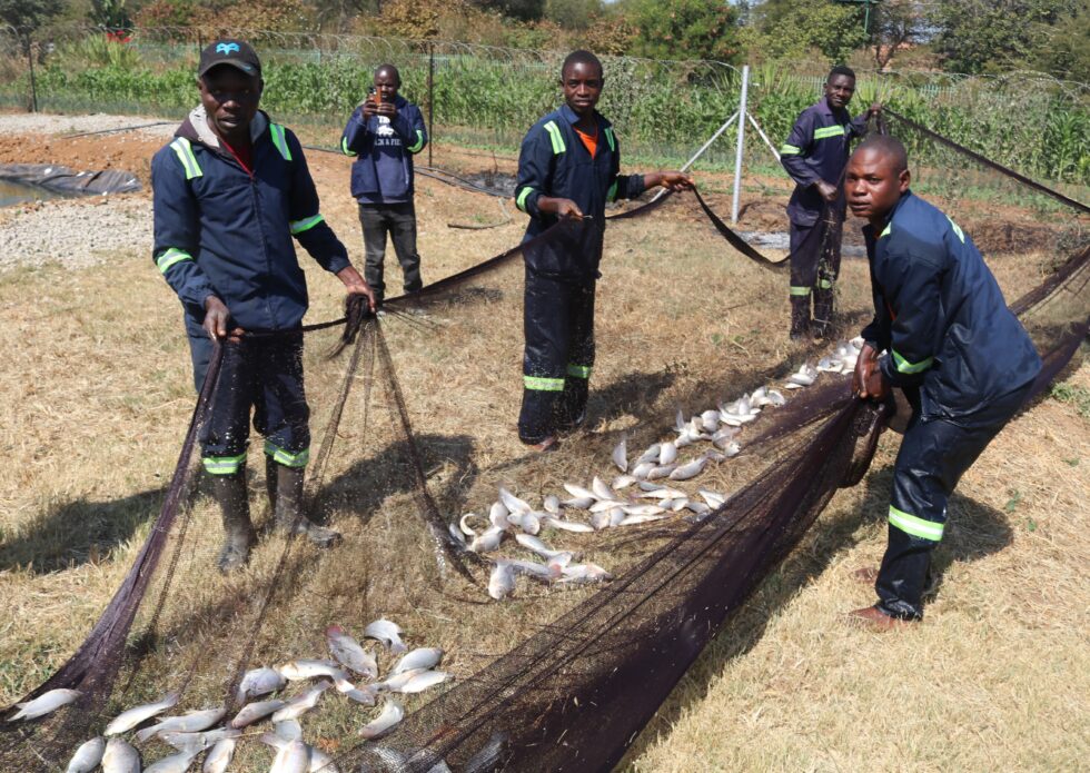 On World Food Day We Thank the Supporters of Bread and Water for Africa ...