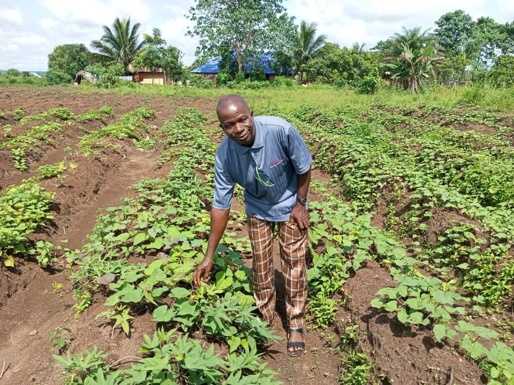 Farmer in Africa tending to crops in a green, well-maintained field.