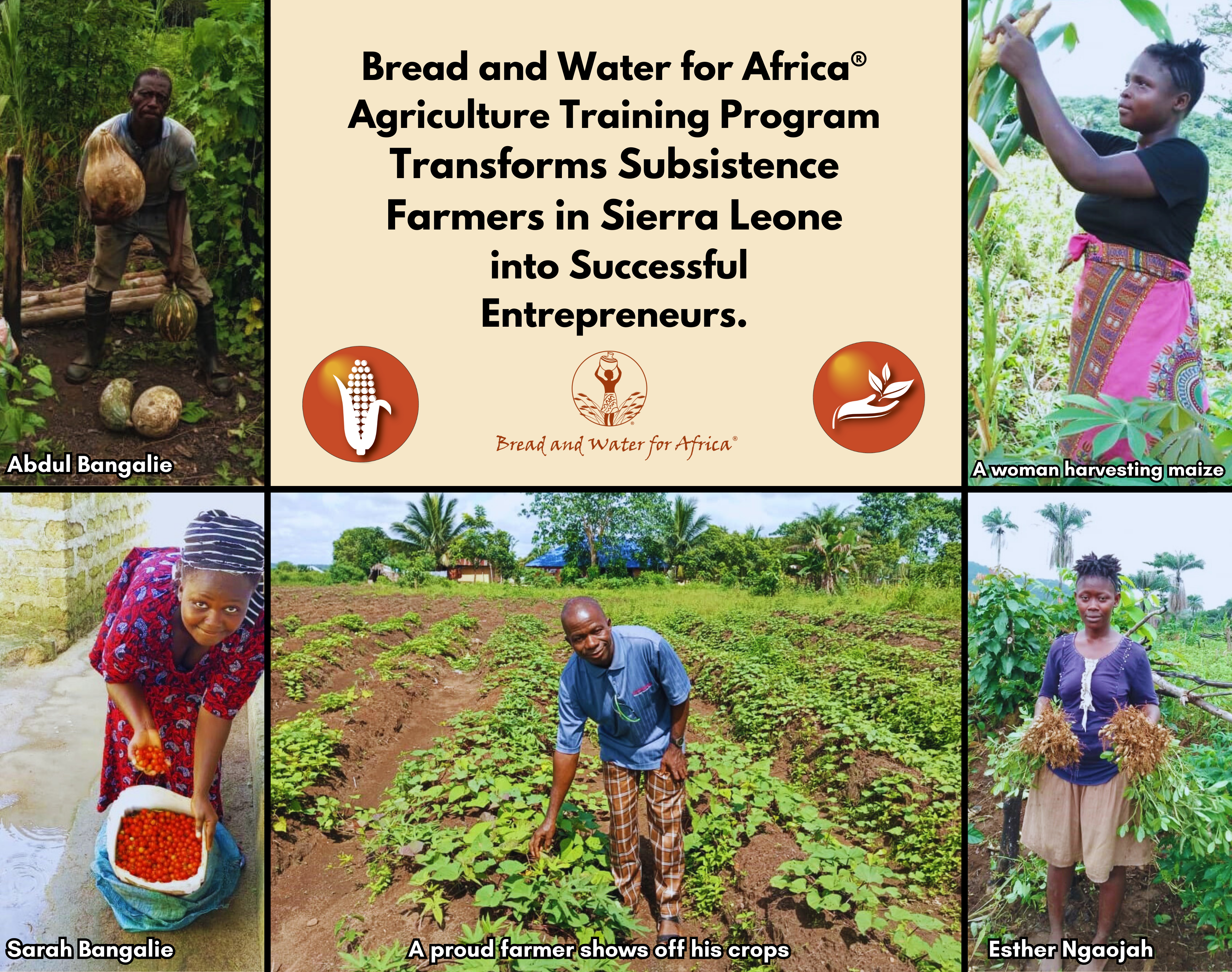 BWA — FHDO Ag Training graphic Jan. 2024 Collage showing African farmers in Sierra Leone harvesting crops and participating in an agriculture training program.