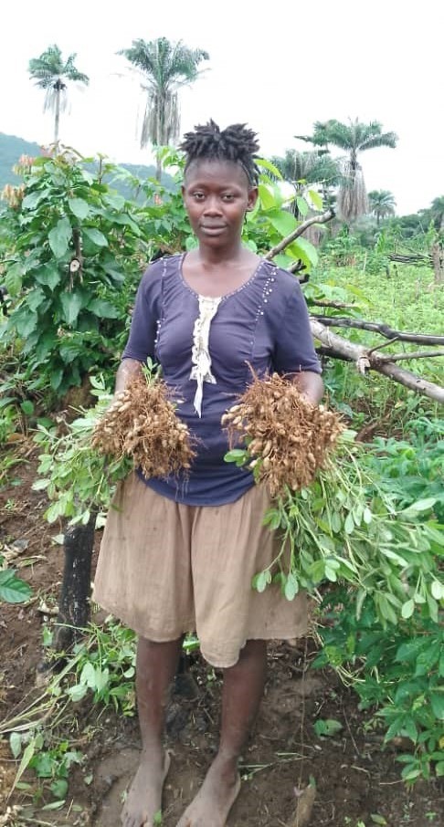 Woman in Africa standing in a field holding freshly harvested groundnuts.