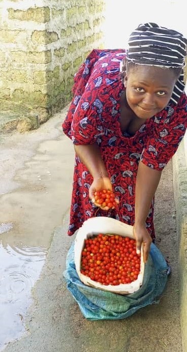 Woman in Africa showing a bucket full of freshly harvested cherry tomatoes.