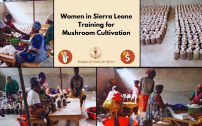 Mushroom Cultivation: A New Hope for Sierra Leone