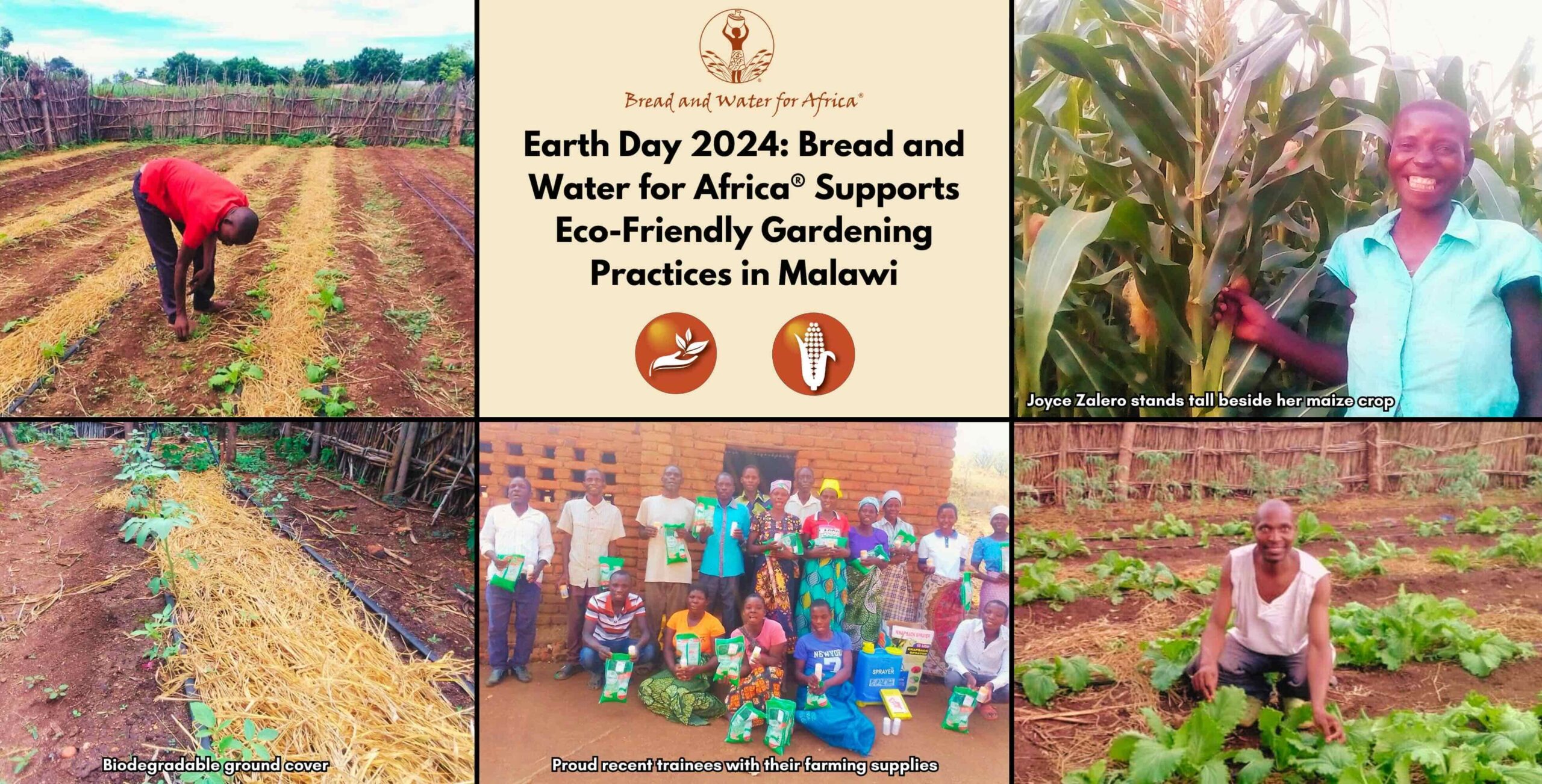 BWA Earth Day 2024 graphic