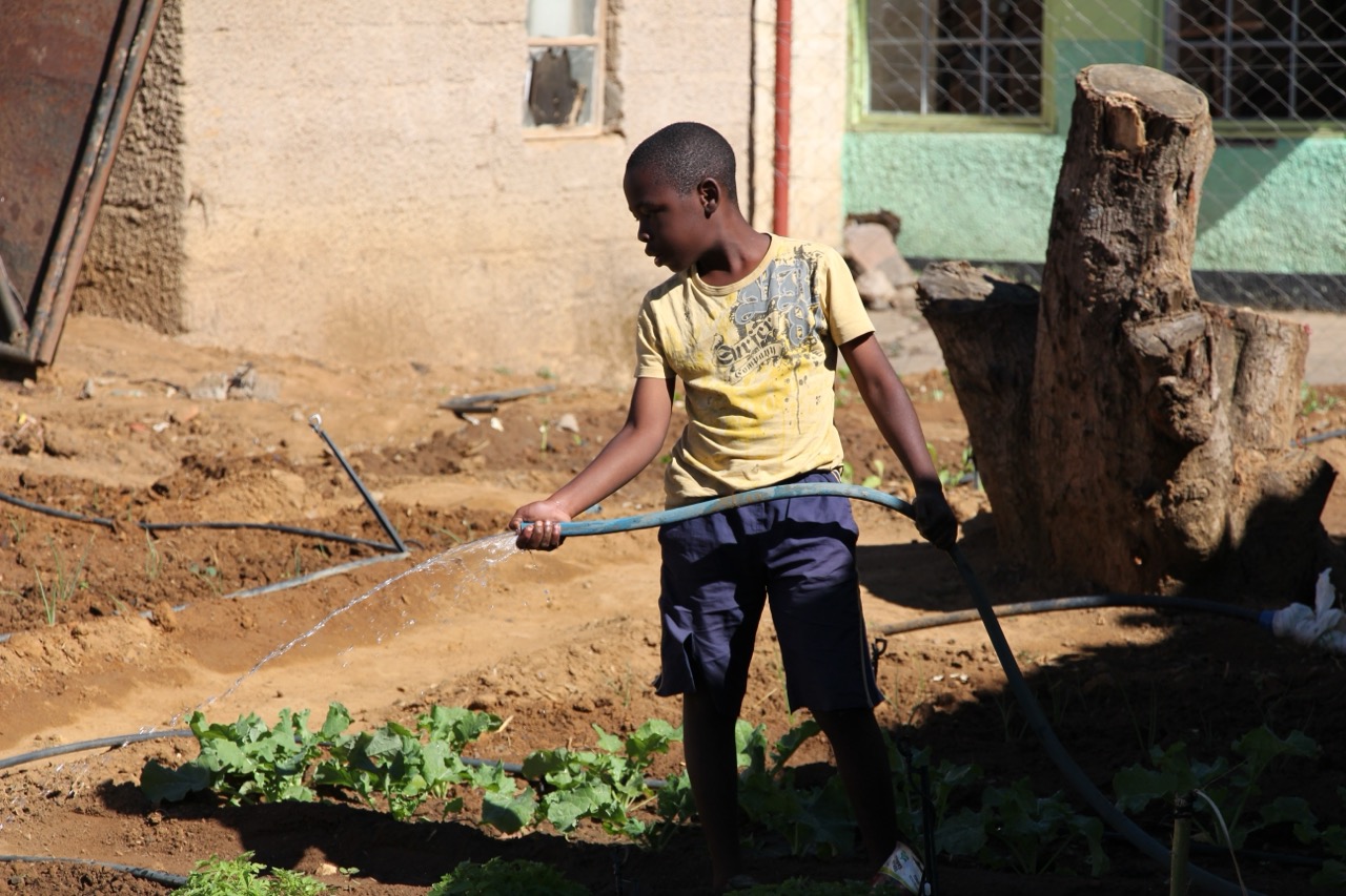 A young boy named Mumba watering a garden at the Kabwata Orphanage in Zambia.