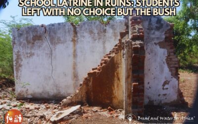 WASH Project Masanduko Primary to Soon Replace the ‘Bush’ for Students’ Personal Hygiene Needs