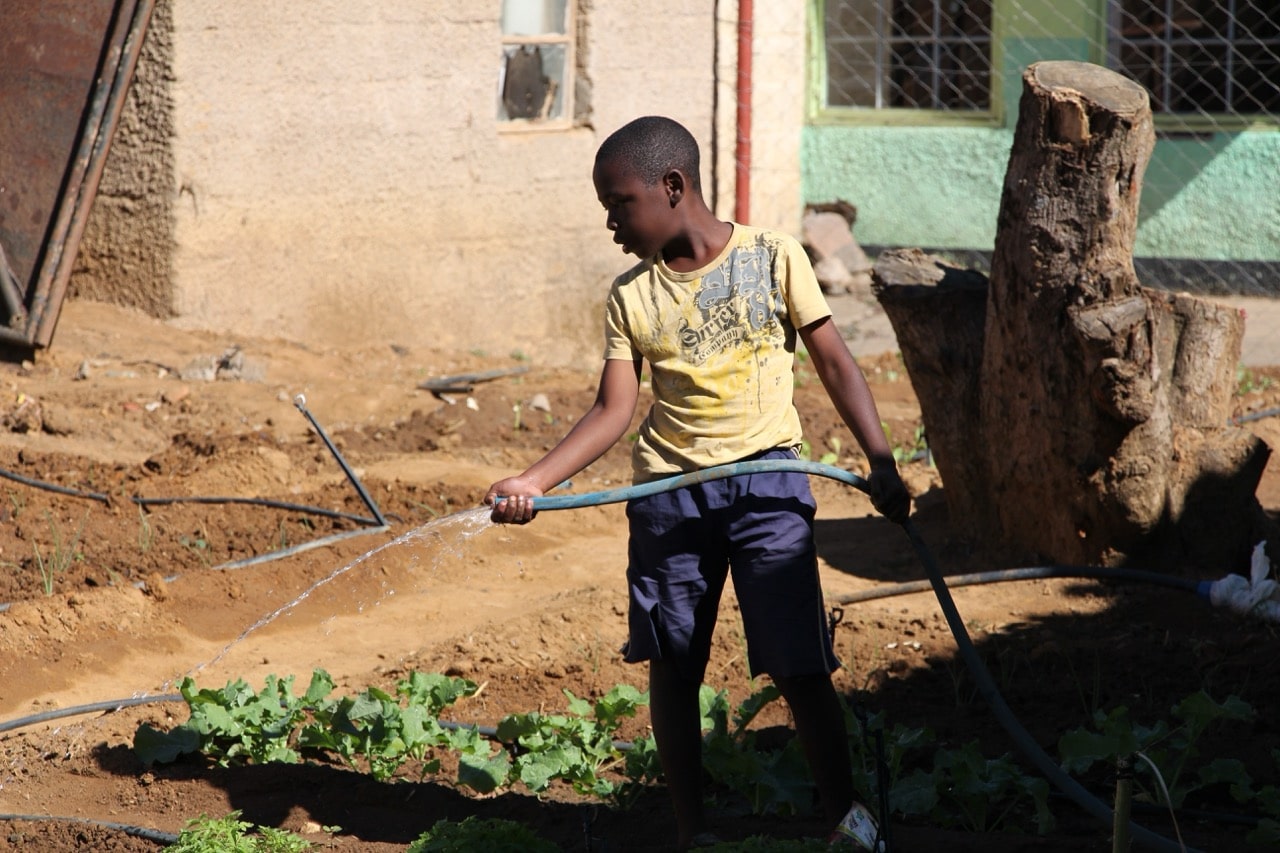 Young Mumba watering plants in Zambia.