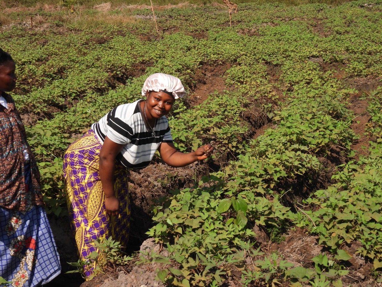 Smiling woman standing in a green vegetable field in Africa.