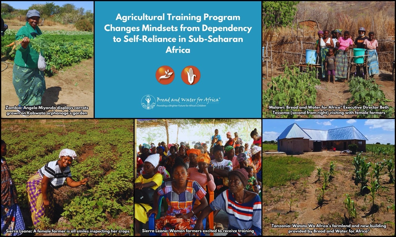 BWA — Food Self-Sufficiency graphic Feb. 2025