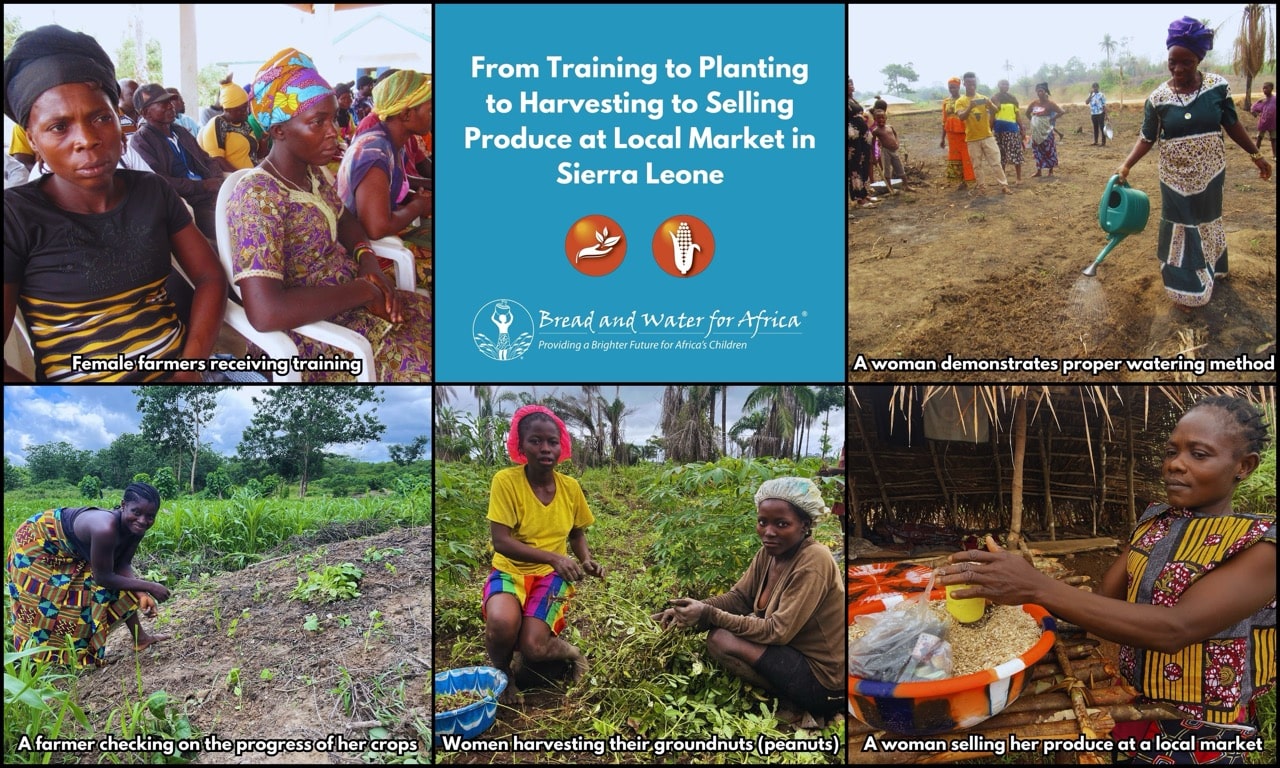 BWA — RYDO Farmers Training graphic Jan. 2025