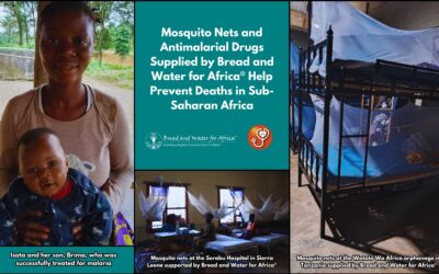 Malaria Kills 300,000 African Children Every Year: This World Malaria Day Bread and Water for Africa® is Working to Prevent Needless Deaths