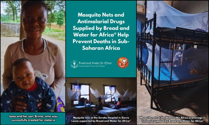 Mosquito nets and antimalarial drugs from Bread and Water for Africa help prevent malaria deaths in sub-Saharan Africa.