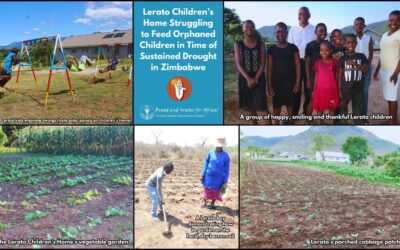 Solar Drip Line Irrigation Project to Help Mitigate Disastrous Effects of El Niño Drought in Zimbabwe for the Lerato Children’s Home