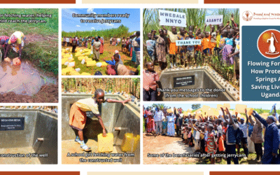 Flowing Forward: How Protected Springs Are Saving Lives in Uganda