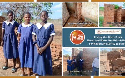 Ending the Silent Crisis: Bread and Water for Africa® Brings Sanitation and Safety to Schools