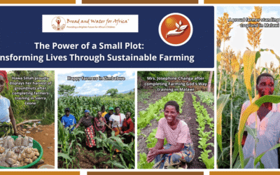 The Power of a Small Plot: Transforming Lives Through Sustainable Farming