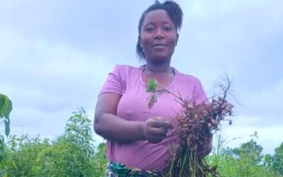 Nafisatu Mansaray:A Mother’s Path from Desperation to Hope