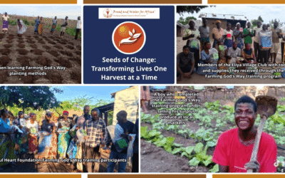 Seeds of Change: Transforming Lives One Harvest at a Time