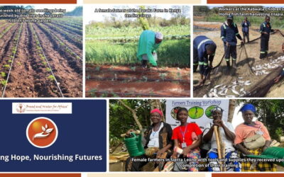 Growing Hope, Nourishing Futures