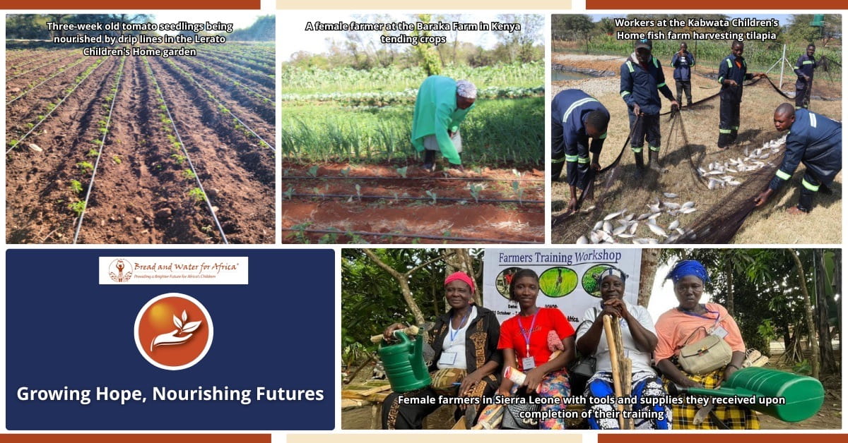 Growing Hope Nourishing Futures agriculture and self sustainability programs in Africa featuring vegetable gardens, fish farming, and farmer training in Zambia, Kenya, Zimbabwe, and Sierra Leone